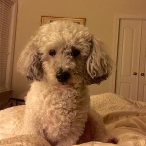 Meet your Posher, Stacey